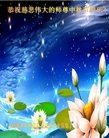 ֹ,󷨵ӹףʦ(25)