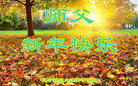 ֹ,ݴ󷨵ӹףʦ(22)