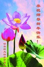 ֹ,󷨵ӹףʦ(18)