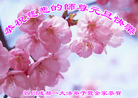 ֹ,ɶ󷨵ӹףʦ(22)