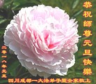 ֹ,ɶ󷨵ӹףʦ(24)