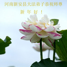 法轮功,河南大法弟子恭祝师尊新年好(21条)