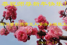 ֹ,ɶ󷨵ӹףʦ(22)