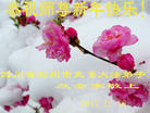 ֹ,ɶ󷨵ӹףʦ(22)