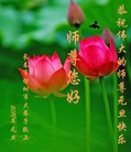 ֹ,󷨵ӹףʦ(22)