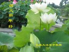 ֹ,󷨵ӹףʦ(22)