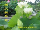 ֹ,󷨵ӹףʦ(22)