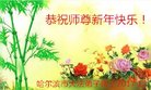 ֹ,󷨵ӹףʦ(20)