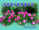 ֹ,󷨵ӹףʦ(19)