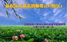 法轮功,江西大法弟子恭祝师尊新年好(20条)