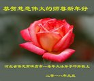 ֹ,󷨵ӹףʦ(21)
