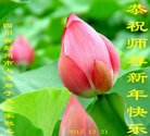 ֹ,ɶ󷨵ӹףʦ(20)