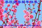 ֹ,ɶ󷨵ӹףʦ(20)