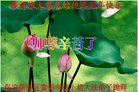 法轮功,保定大法弟子恭祝师尊新年好(27条)