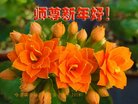 ֹ,󷨵ӹףʦ(21)
