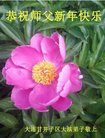 ֹ,󷨵ӹףʦ(19)
