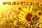ֹ,󷨵ӹףʦ(19)