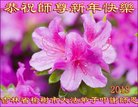 ֹ,󷨵ӹףʦ(19)