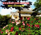 ֹ,󷨵ӹףʦ(19)