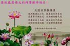 法轮功,河南大法弟子恭祝师尊新年好(21条)
