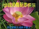 法轮功,保定大法弟子恭祝师尊新年好(24条)