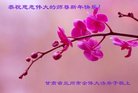 ֹ,󷨵ӹףʦ(21)