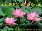 ֹ,żҿڴ󷨵ӹףʦ(22)