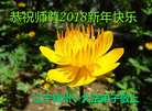 ֹ,ݴ󷨵ӹףʦ(22)