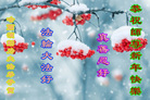 ֹ,󷨵ӹףʦ(19)