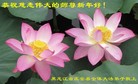 ֹ,󷨵ӹףʦ(21)