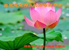 ֹ,ӱ󷨵ӹףʦ(22)