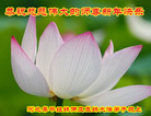 ֹ,ӱ󷨵ӹףʦ(22)