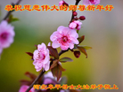 ֹ,ӱ󷨵ӹףʦ(22)