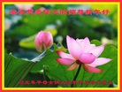 ֹ,󷨵ӹףʦ(22)