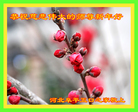 ֹ,󷨵ӹףʦ(22)