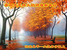 ֹ,ӱ󷨵ӹףʦ(20)