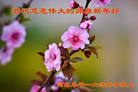 ֹ,ӱ󷨵ӹףʦ(20)