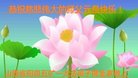法轮功,山西大法弟子恭祝师尊新年好(24条)