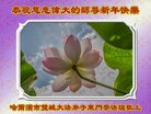 ֹ,󷨵ӹףʦ(19)