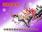 ֹ,󷨵ӹףʦ(19)