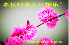 ֹ,ʡ󷨵ӹףʦ(20)