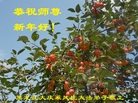 ֹ,󷨵ӹףʦ(22)