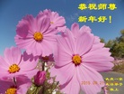 ֹ,󷨵ӹףʦ(19)