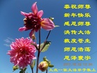 ֹ,󷨵ӹףʦ(19)