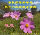 ֹ,󷨵ӹףʦ(19)