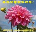 ֹ,󷨵ӹףʦ(19)