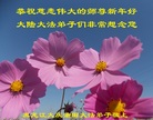 ֹ,󷨵ӹףʦ(19)