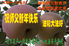 ֹ,󷨵ӹףʦ(21)