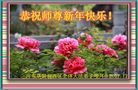 法轮功,河南大法弟子恭祝师尊新年好(23条)