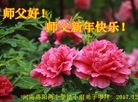 ֹ,ϴ󷨵ӹףʦ(23)